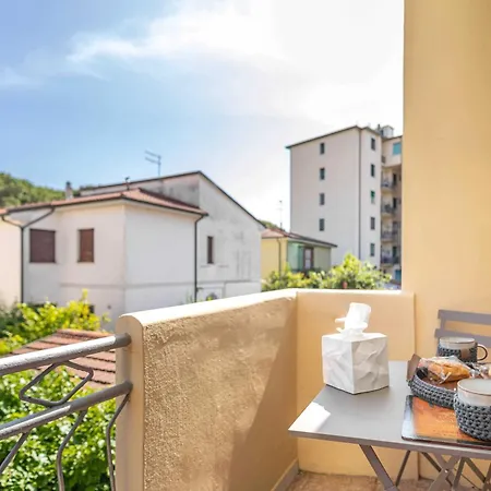 Migu Point Intero Pisa